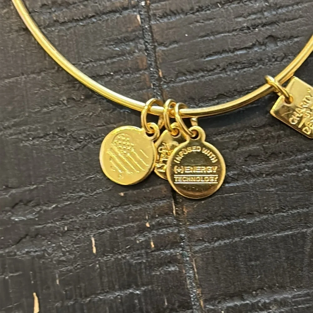 NWT Alex And Ani Red Apple Charm Bangle Bracelet Teacher Energy Adjustable​